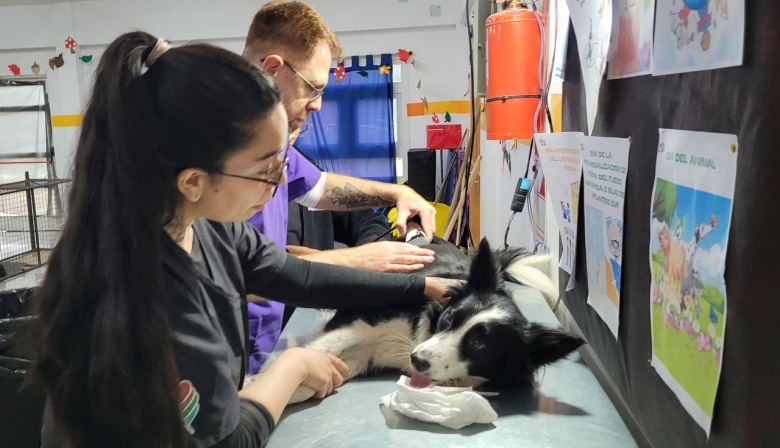 Tolhuin lanza la 3° campaña de salud veterinaria del año 2025