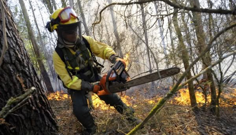 Eliminan otros tres fondos fiduciarios vinculados al manejo del fuego, obras y desarrollo productivo