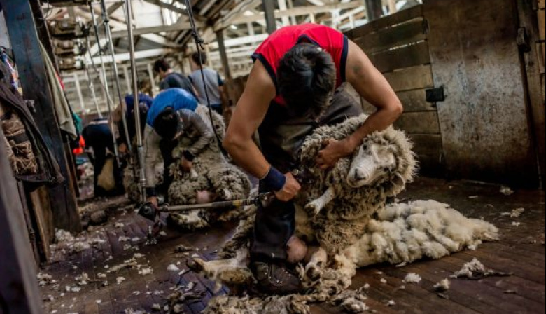 Prorrogaron la norma que permite trabajar en el campo temporalmente sin perder los planes sociales