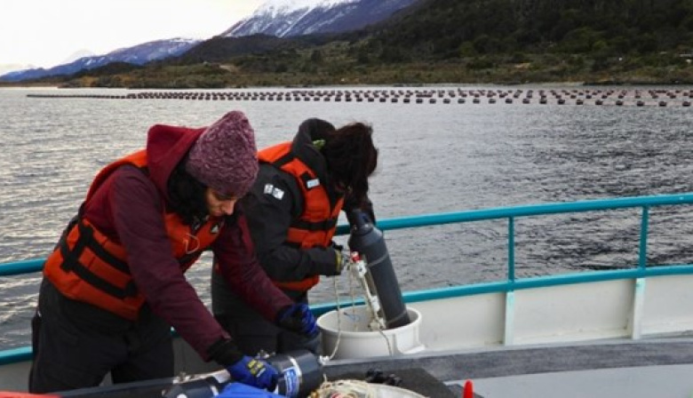El Conicet analiza el canal Beagle para el primer cultivo de mejillones a escala industrial