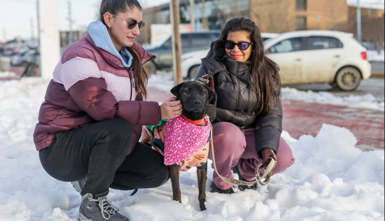 Más de 100 érsonas participaron de la jornada de salud animal