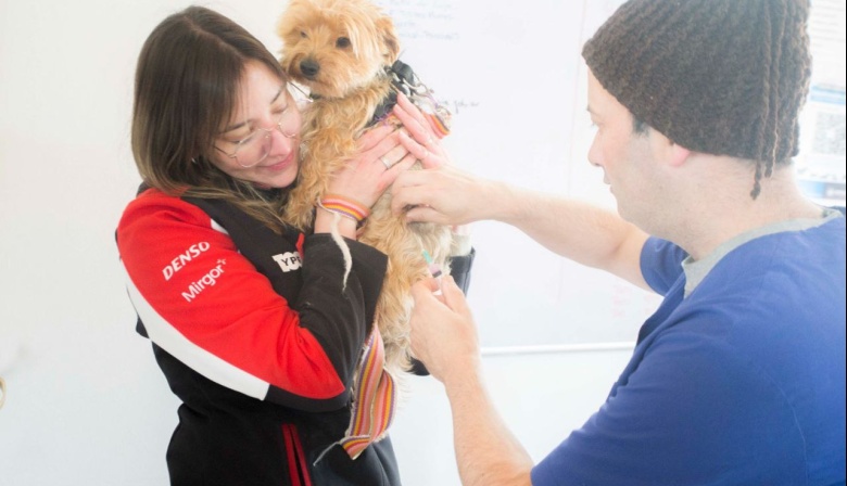 Más de 200 mascotas se atendieron en la jornada de "Zoonosis más cerca"