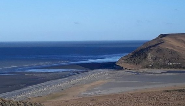 Invitan a participar de salidas de campo para explorar el intermareal fueguino