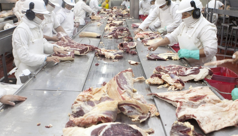 La Justicia suspendió por 30 días el ingreso de carne con hueso a la Patagonia