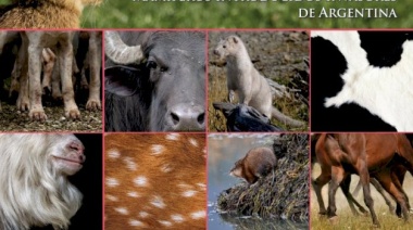 Publicaron el primer libro sobre los mamíferos introducidos invasores de la Argentina