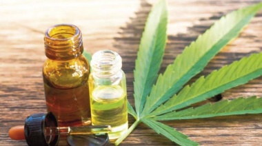 Analizarán en la provincia el aceite de cannabis medicinal para garantizar su calidad