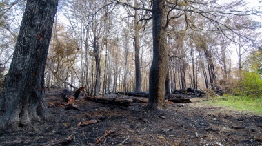 Se encuentra oficialmente extinguido el incendio en la Reserva Provincial Corazón de la Isla