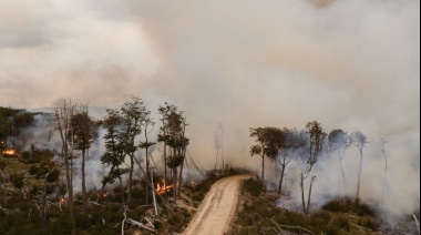 “El riesgo de hacer fuego hoy en Tierra del Fuego es enorme”