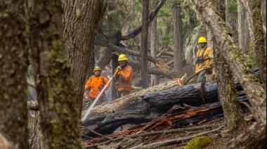 Se desató un incendio forestal en la Isla Gran Malvina
