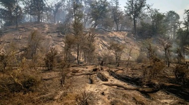 Brigadistas siguen combatiendo el fuego dentro del bosque quemado