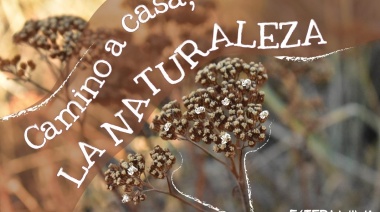 Inauguran muestra ‘Camino a casa: La naturaleza’ en el MFA Niní Bernardello