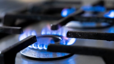 El gobierno rechazó los aumentos desmedidos en las tarifas de gas