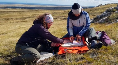 Especialistas del CONICET viajaron a Malvinas para estudiar el origen  y evolución de las plantas e insectos de la región
