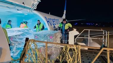 Se inició puente aéreo para enviar productos chilenos desde Tierra del Fuego