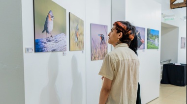 Se inauguró la muestra "Camino a casa: La Naturaleza"en el Museo Fueguino de Arte Niní Bernardello