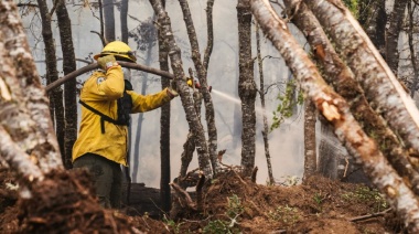 Paredes: "Estamos trabajando día a día para extinguir el incendio en la reserva Corazón de la Isla"