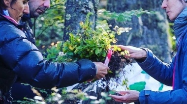 Invitan a una jornada de reforestación y cuidado del bosque nativo en Ushuaia