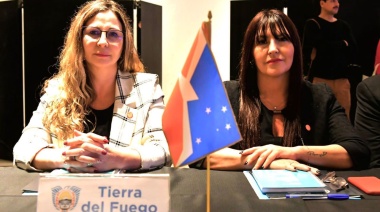 Tierra del Fuego participó en la 123° Reunión Plenaria del Consejo Federal del Trabajo
