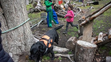 Finalizó la colonia municipal de verano de terapia asistida con perros en Ushuaia