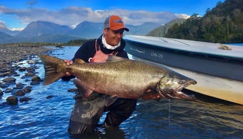 Desarrollaron una herramienta para identificar peces invasores en la Patagonia