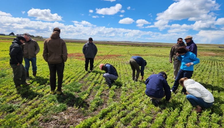 El INTA capacitó en Río Grande sobre la producción de forrajes
