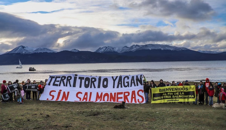 La polémica industria del salmón y por qué preocupa su expansión