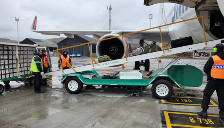 Las fuerzas de seguridad podrán brindar servicios aeroportuarios y de rampa