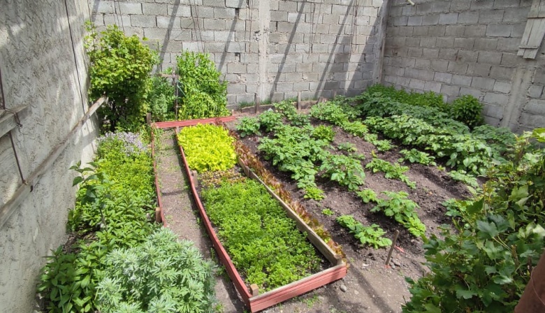 Tierra del Fuego tendrá su 1° Festival Provincial de Agroecología