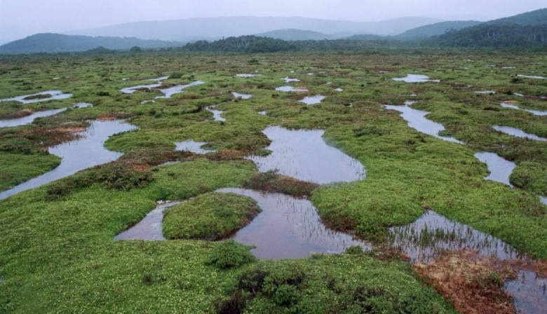 Investigadores de la UNTDF celebran la designación de Península Mitre como Sitio Ramsar