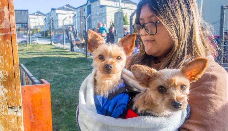 Jornada de salud animal en el Paseo de las Rosas