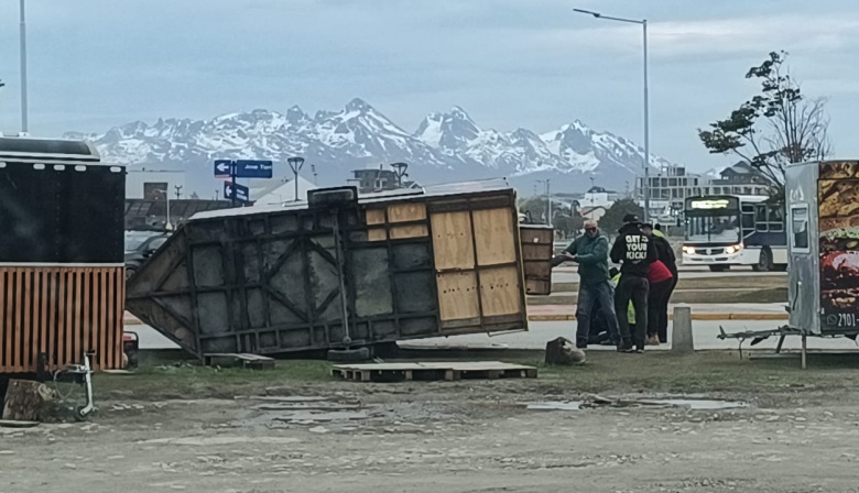 Temporal de viento causa caída de árboles y voladuras de techo