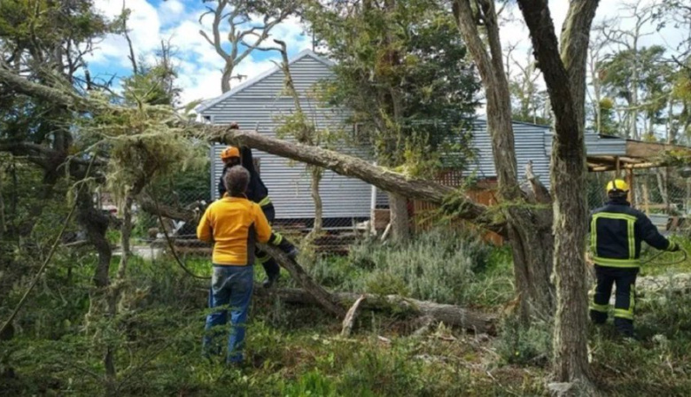 Ushuaia respondió a más de 60 intervenciones por el temporal de viento en 5 horas