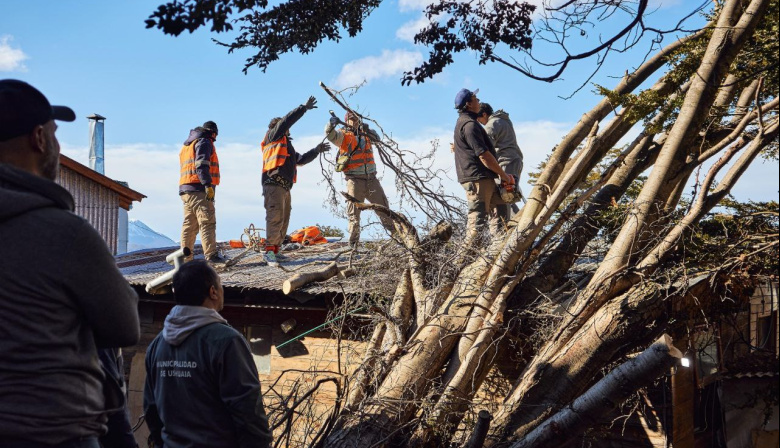 El Municipio continúa las tareas de limpieza tras el fuerte temporal de viento
