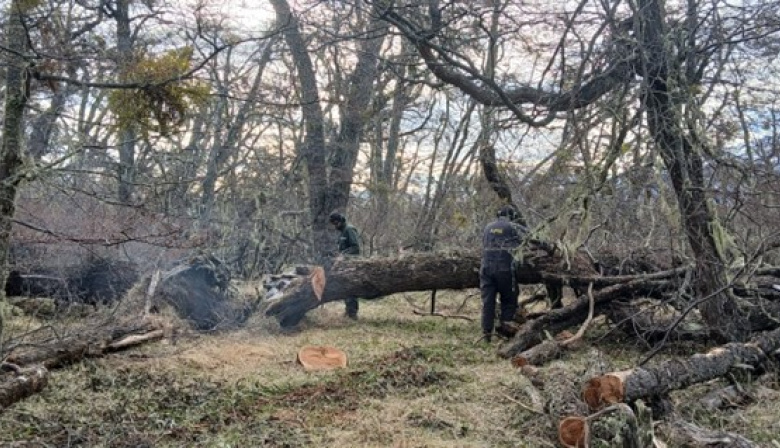 Se abrirán nuevos senderos en la Zona Sur del Parque Nacional Los Glaciares