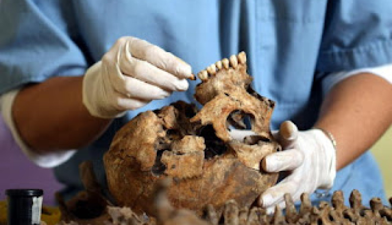 Invitan a Jornadas de Antropología Forense en Río Grande y Ushuaia