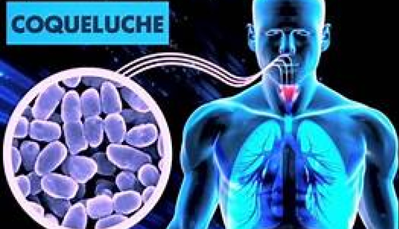 Salud desmiente información sobre supuestos casos faltantes de Coqueluche en Ushuaia