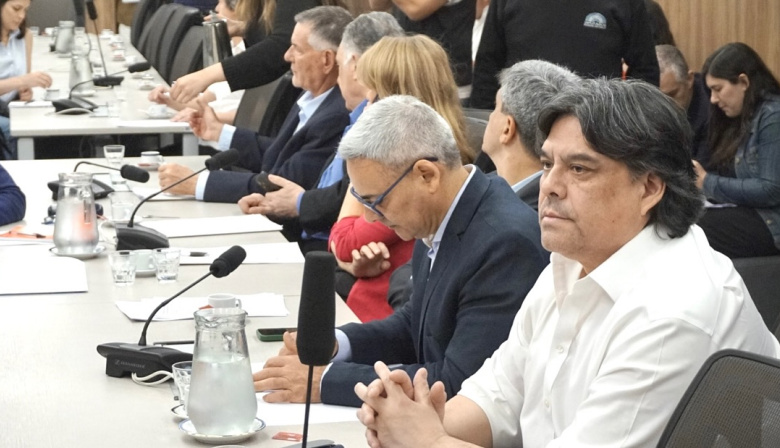 Araujo lamentó la ausencia del ministro Lugones en la Comisión Investigadora del Fentanilo Contaminado