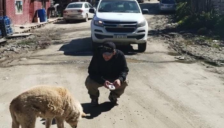 Zoonosis municipal labró actas de infracción por perros sueltos en Dos Banderas