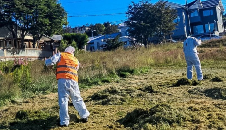 Realizan mantenimiento de plazas y espacios públicos