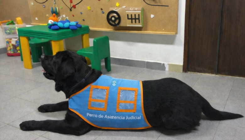 La Justicia evalúa incorporar canes para casos de menores vinculados a procesos judiciales