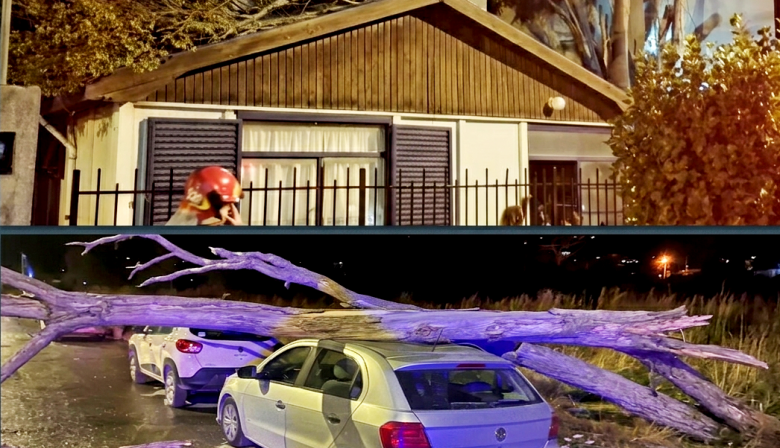Temporal de viento en Ushuaia: ráfagas de más de 100 km/h causaron destrozos y caída de árboles