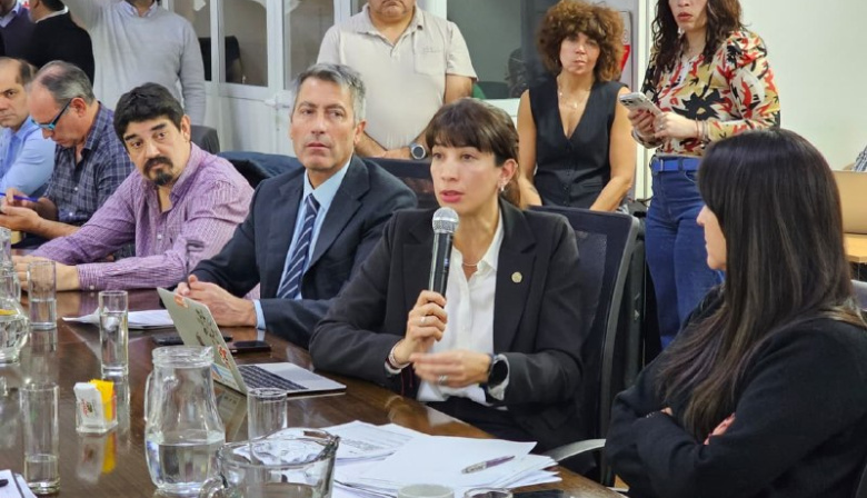 La Secretaría de Industria expuso ante legisladores la situación actual del sector