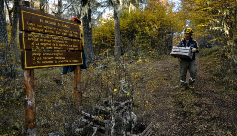 Reserva Corazón de la Isla: Declaran de interés ambiental la participación ciudadana