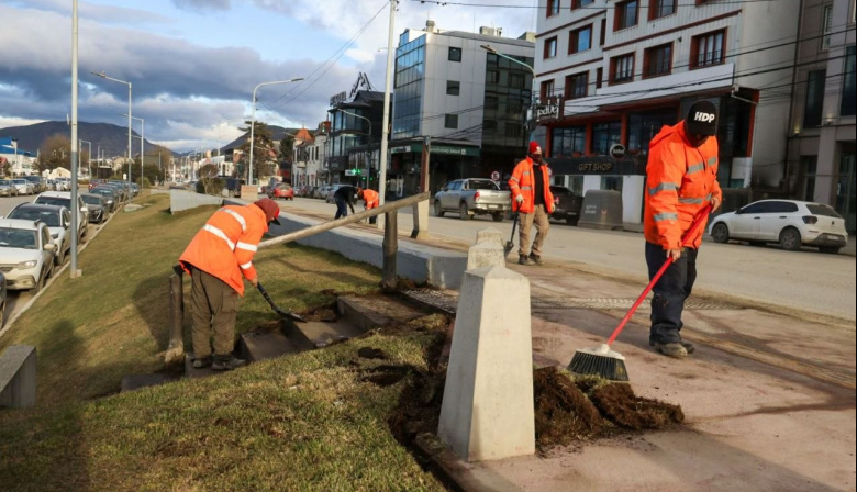 Realizan operativo de limpieza sobre avenida Maipú