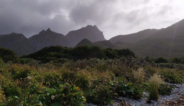 Reserva Provincial Isla de los Estados: el desafío de proteger un lugar remoto y extraordinario