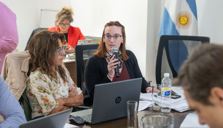 "El proyecto busca generar previsibilidad y estabilidad en la inversión educativa"