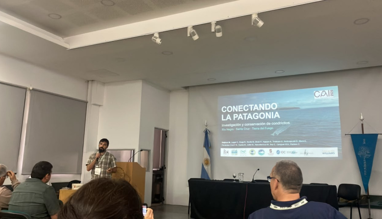 Tiburones fueguinos en el primer Congreso Argentino de Ictiología