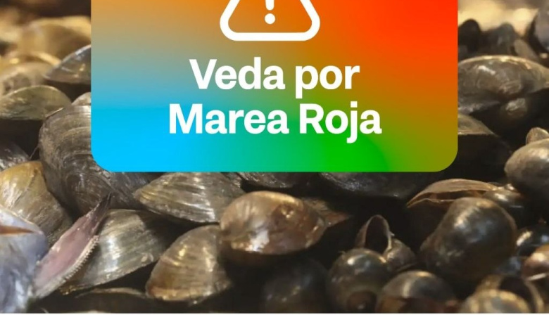 Establecen la veda de moluscos en el Canal de Beagle y toda la Costa Atlántica provincial