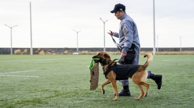 El Servicio Penitenciario llevó a cabo un demostración del primer curso básico de guías de canes
