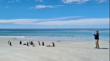 Malvinas recibió 60.000 visitantes durante la última temporada de cruceros